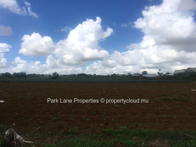 Excellente opportunité d’investissement à Saint Pierre – Terrain agricole de 6 arpents