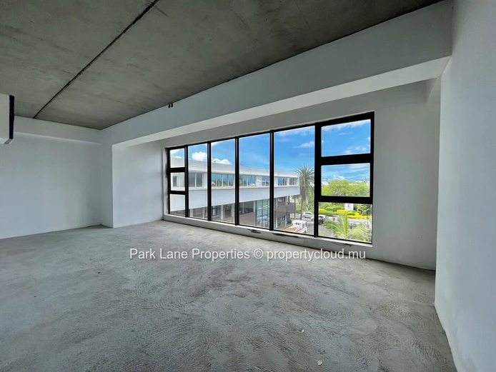 Prestige Business Centre in Black River - Office Space for Rent