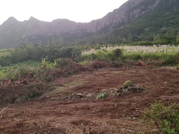Agricultural Land