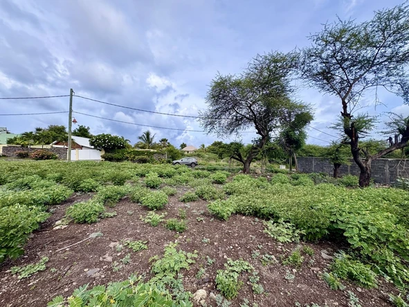 Residential Land