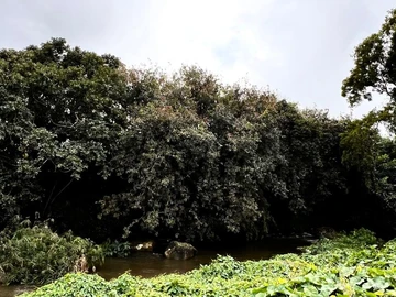 Residential Land