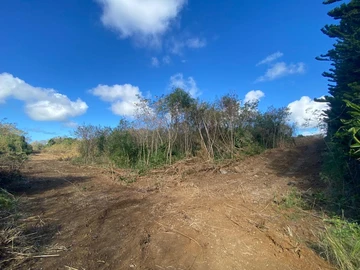 Residential Land