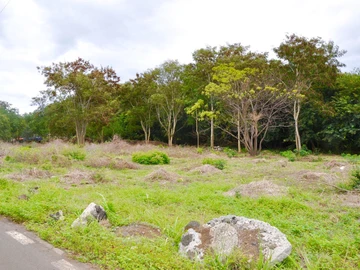 Residential Land