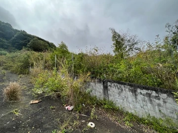 Agricultural Land
