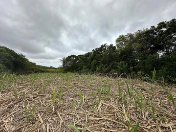 Agricultural Land