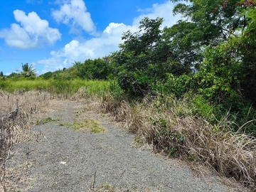 Residential Land