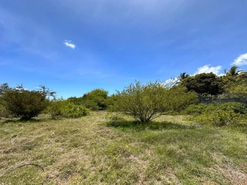 Residential Land