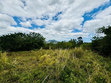 Agricultural Land