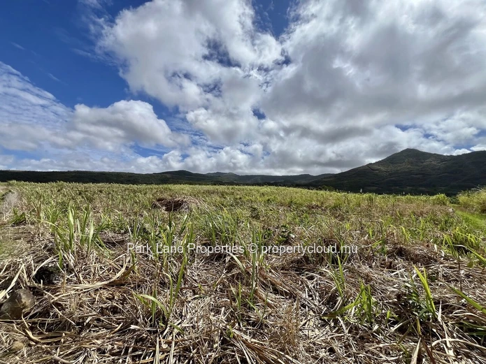 Terrain Agricole à Vendre à Chamouny, Île Maurice – 20,80 Arpents