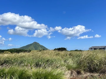 Residential Land
