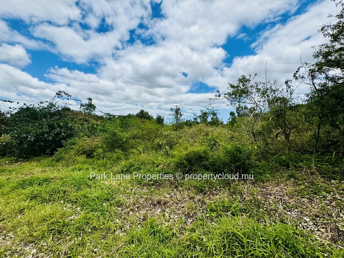 Terrain agricole à vendre à Moka