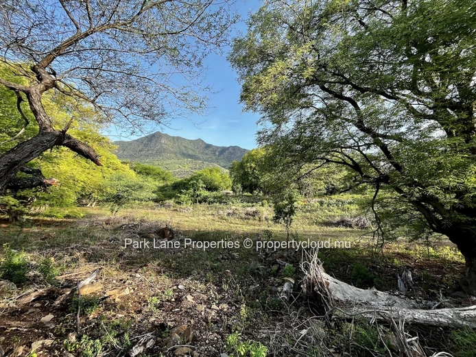 À Vendre – Terrain Résidentiel De 1 438 m² Dans Les Riverains, Petite Rivière Noire