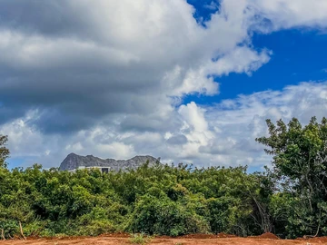 Residential Land