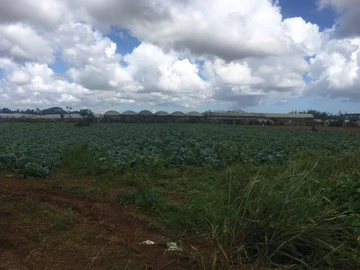 Agricultural Land