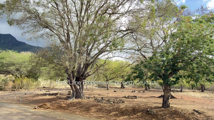 Prime Corner Land with Open & Mountain Views in Domaine de Palmyre