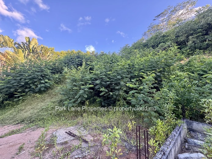 Agricultural plot for sale in Chamarel