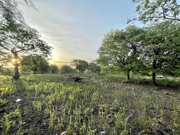 Residential Land
