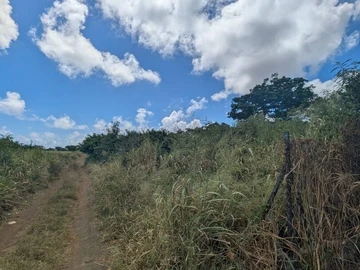 Residential Land
