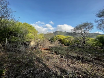 Residential Land