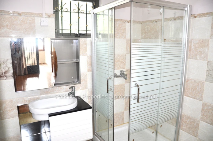 Brand new contemporary duplex