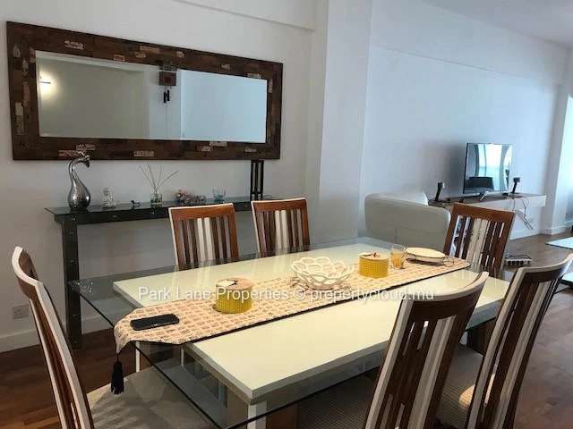 Stylish renovated apartment with terrace in Floreal 