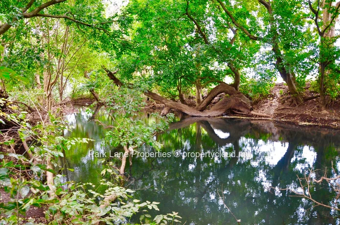 Land next to Beautiful River
