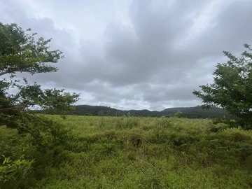 Residential Land