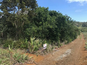 Agricultural Land