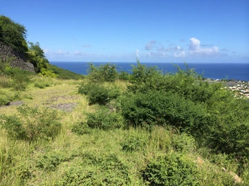 Residential Land