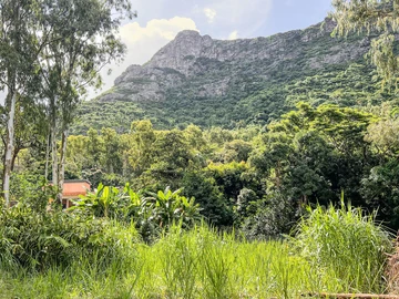 Residential Land