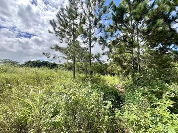 Residential Land