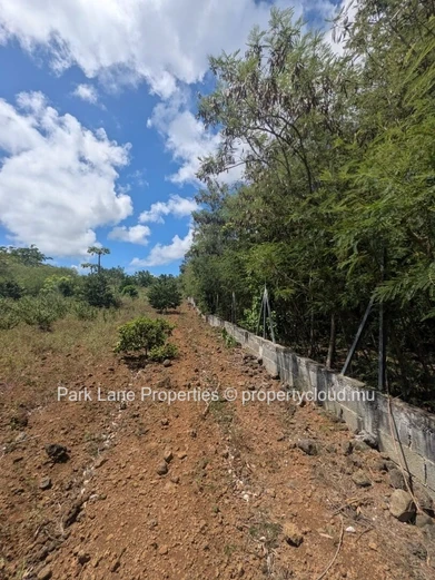 For Sale – 4,206 m² Residential Land in Petit Raffray