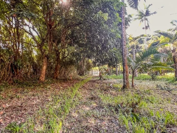 Residential Land