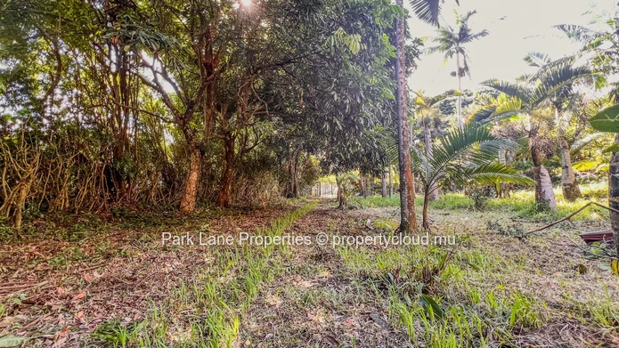 Prime development site in Floreal – 4,083 m² with dual access