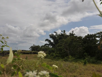Residential Land