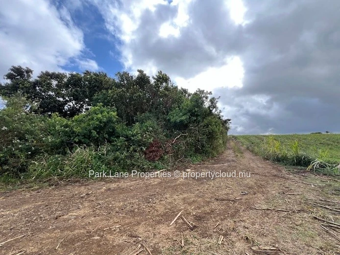 Potentiel de Transformation : Terres Agricoles de Trianon Près de l'Autoroute vers Verdun