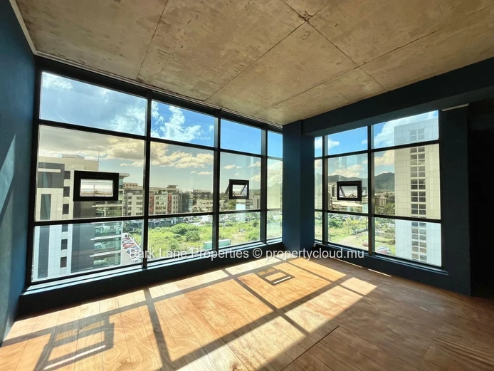 Professional Office Space in Ebene Business District
