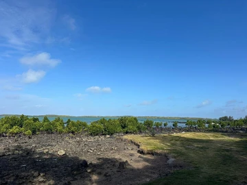 Residential Land