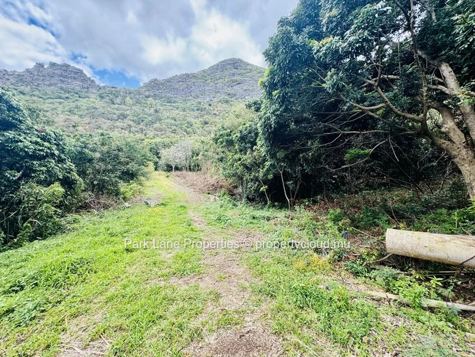 Agricultural land of 50 perches on the mountain