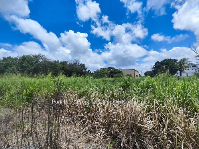 For Sale – 4,206 m² Residential Land in Petit Raffray