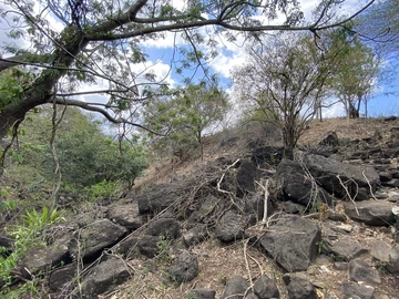 Residential Land