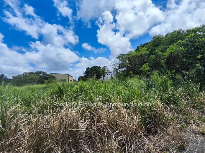 For Sale – 4,206 m² Residential Land in Petit Raffray
