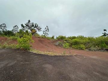 Agricultural Land