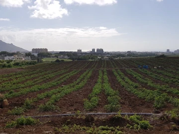 Agricultural Land