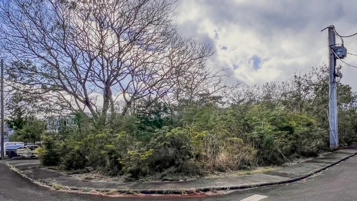 Terrain résidentiel de 598 m2 situé dans un quartier recherché de Coromandel,