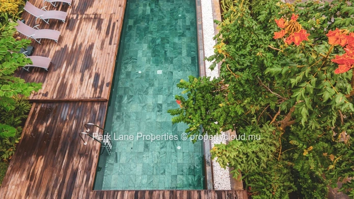 1 bedroom apartment in a Zen atmosphere