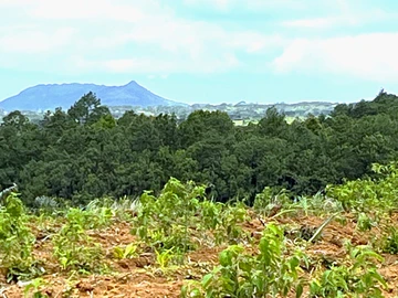 Agricultural Land