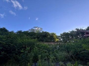 Agricultural Land
