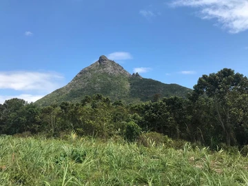 Agricultural Land