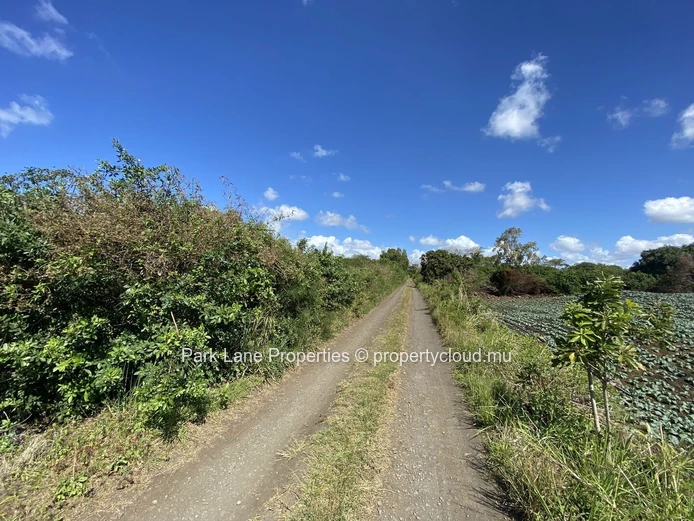 Terrain agricole dans l'est